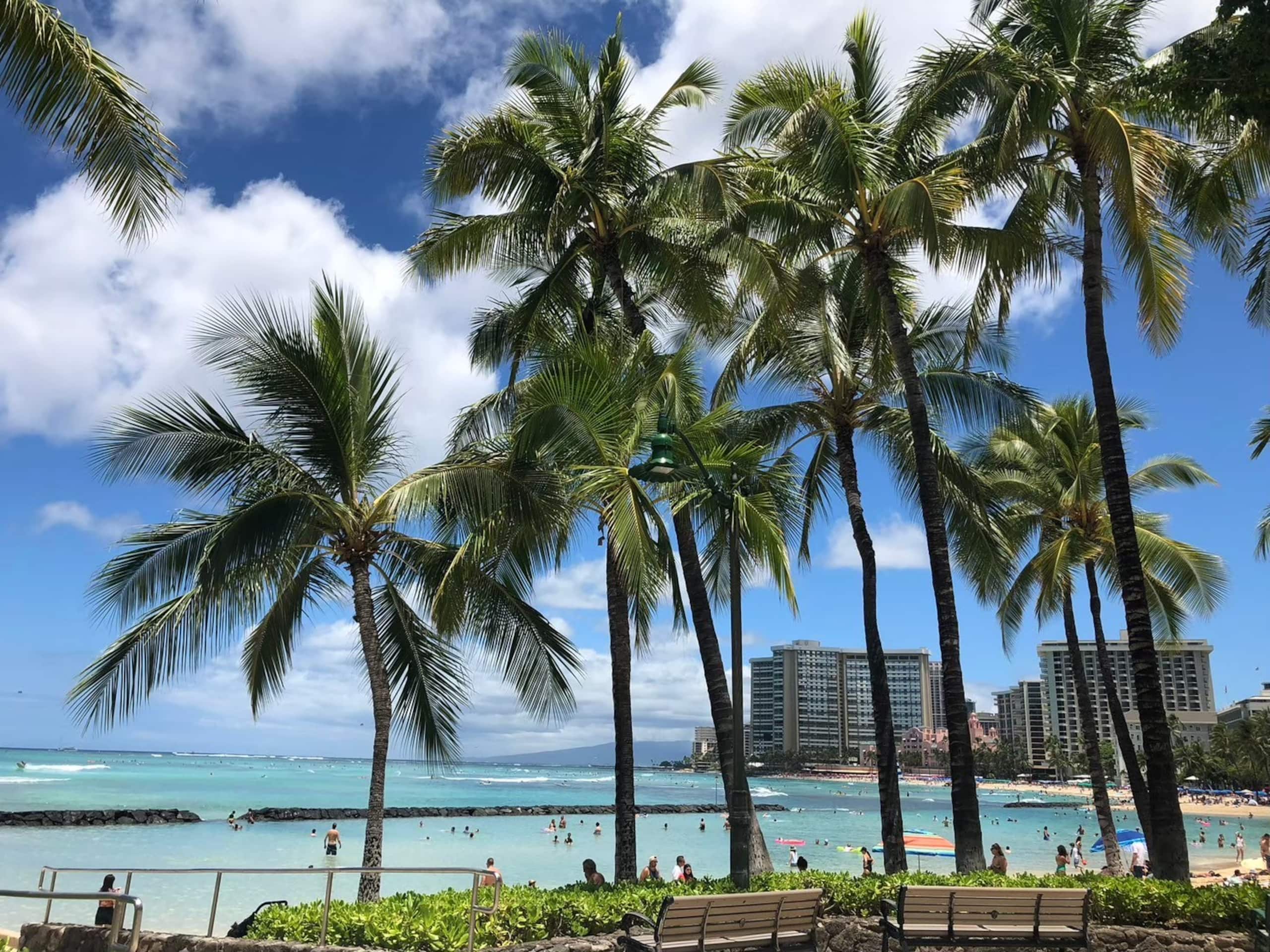 Condo in Honolulu · ★4.76 · 1 bedroom · 1 bed · 1 bath - Image 28
