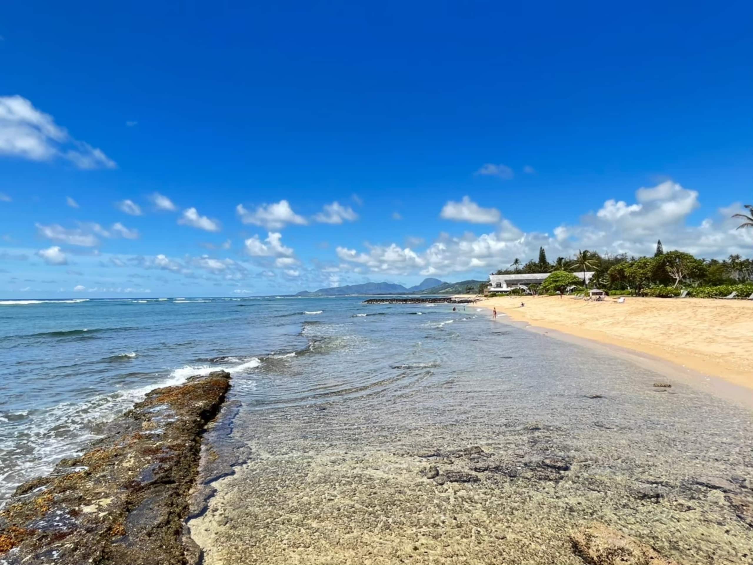 Condo in Honolulu · ★4.56 · 1 bedroom · 1 bed · 1 private bath - Image 28
