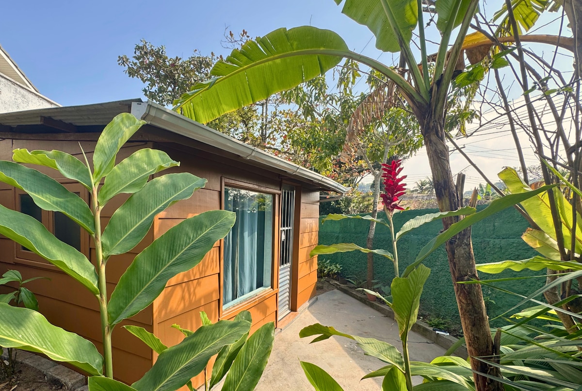 The exterior of a wooden bungalow is framed by lush green tropical plants, including broad leaves and vibrant flowers. Natural light filters through a large window, partially covered by sheer curtains, showcasing the warm tones of the bungalow's wood paneling.