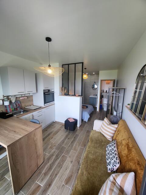 Apartment with Lake Geneva view