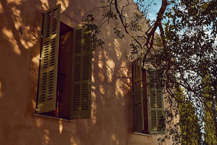 La Casa de Los Grandes: Luxury Finca w/ Pool gallery image 5