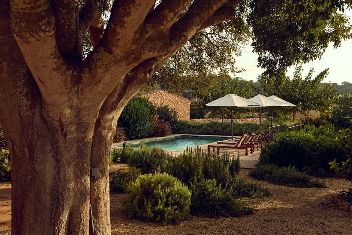 La Casa de Los Grandes: Luxury Finca w/ Pool gallery image 2