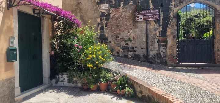 Appartamento Bouganville Cin It011017c2odshlrol - Levanto