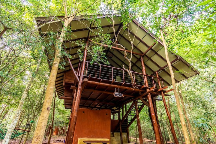 Kaala Kalaththewa Luxury Eco Resort Kohomba Villas