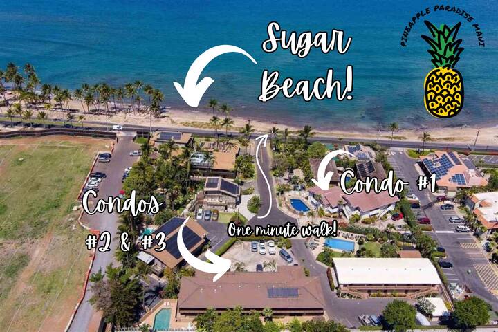 5 BD/5BA! Sleeps 16! 3 Condos! Ocean Views! gallery image 3