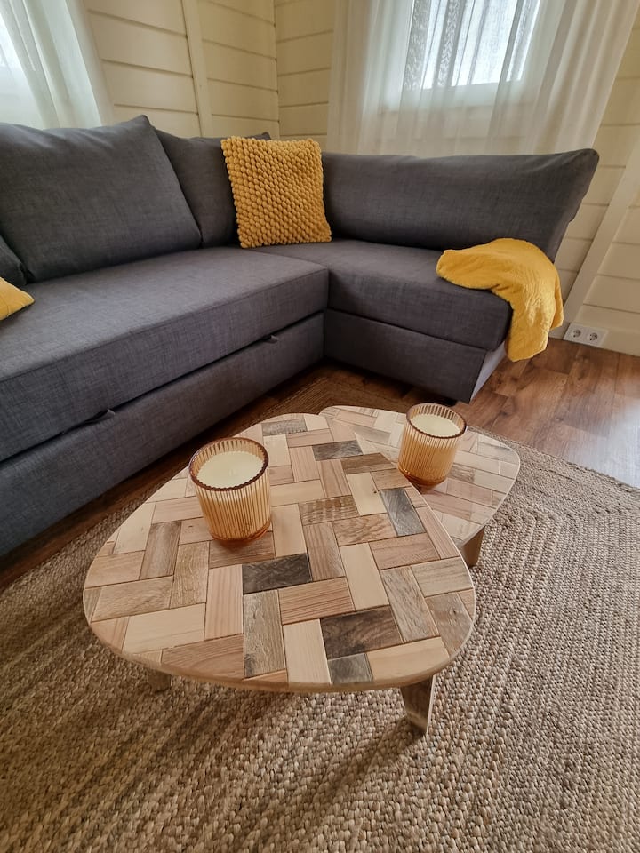 Nieuw - Luxe Blokhut In Een Bosrijke Omgeving. - Drenthe