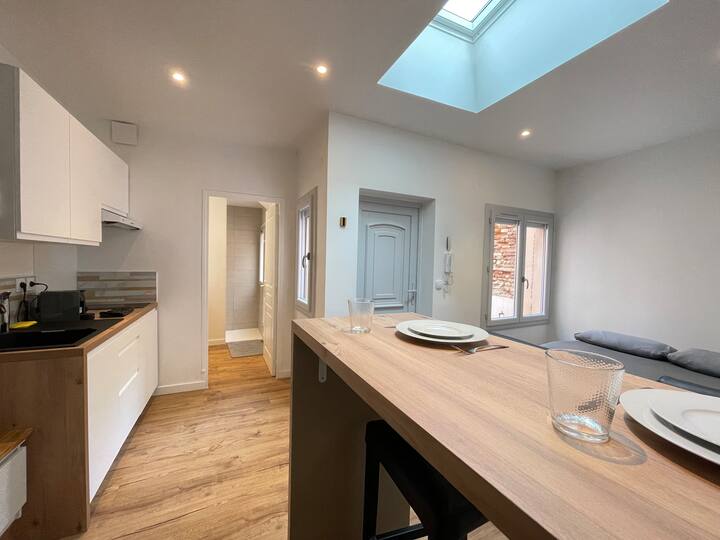 Logement Rue Pargaminières - 圖盧茲
