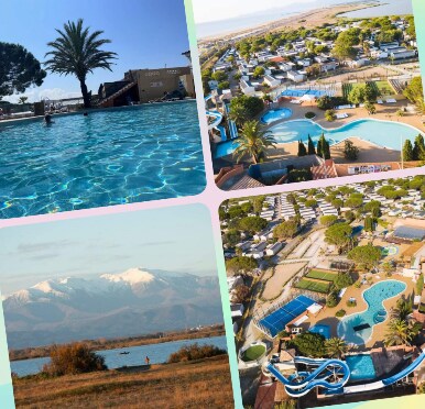 The image captures a serene swimming pool surrounded by palm trees under a clear sky. In another view, a panoramic shot showcases the sprawling camping area with its variety of pools and water slides set amidst lush greenery.