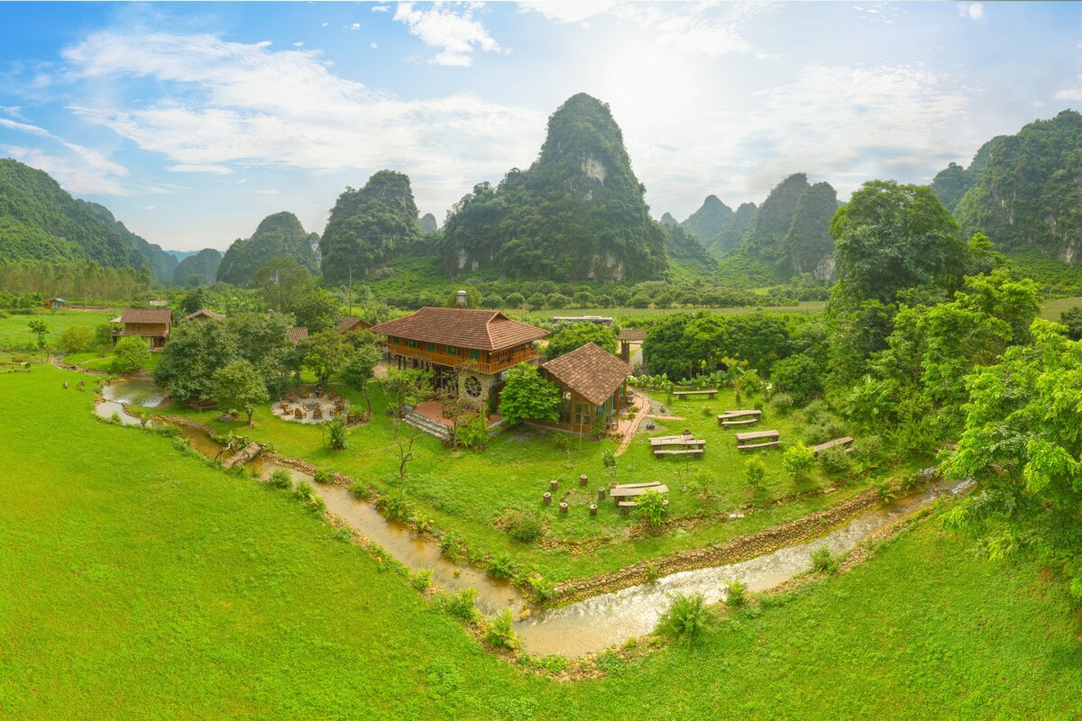 A panoramic view of Phong Sơn Retreat showcases the natural landscape, with lush greenery and a flowing stream meandering through the property. The homestay is framed by dramatic mountains in the background, while wooden seating areas and trees create a serene outdoor atmosphere.