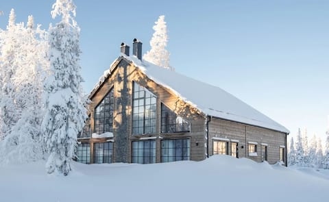 Luxurious and newly built mountain cabin near the slopes