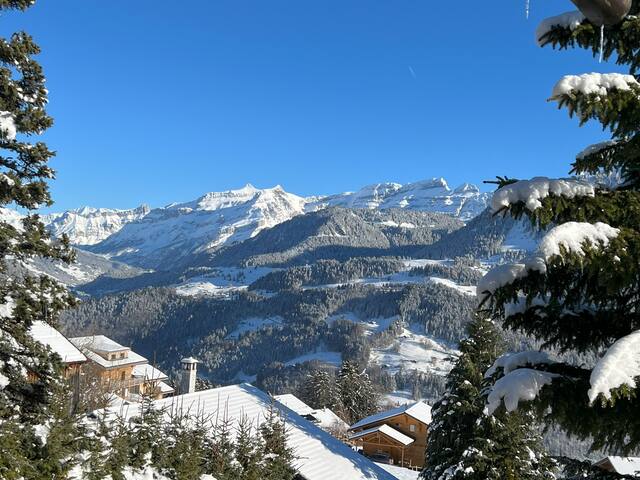 Magnificent Entire Chalet in the Swiss Alps gallery image 4