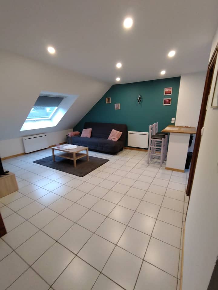 Studio En Plein Centre-ville - Saint-Dié-des-Vosges