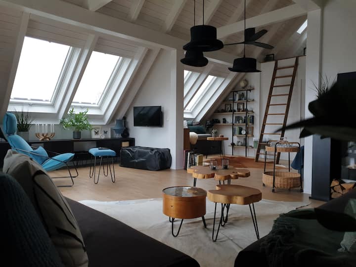 Ferienwohnung Loft Elbauenblick - Radebeul