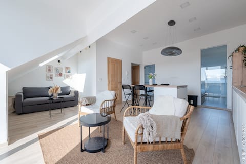 Goffin | Panorama of the Rooftops of Brussels at 2