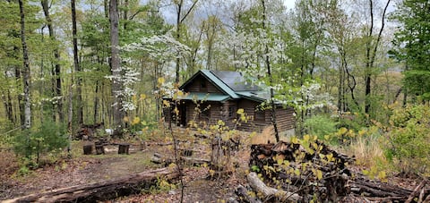 Cabin Mtn/Lake Views, Off Grid wifi, moderated AC
