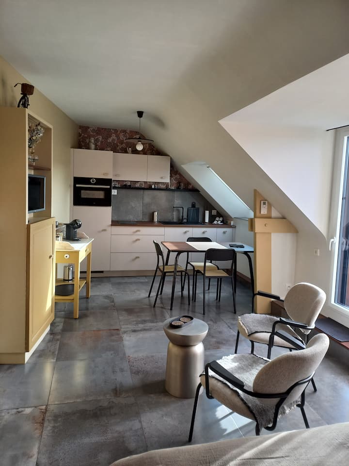Studio "Ere Du Temps" Dans Dol De Bretagne. - Dol-de-Bretagne