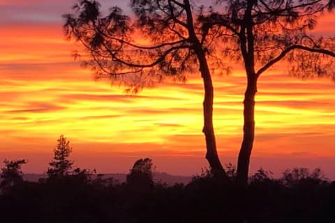 4B Creekside Hot Tub Sauna Pool Pets|Hiking Views