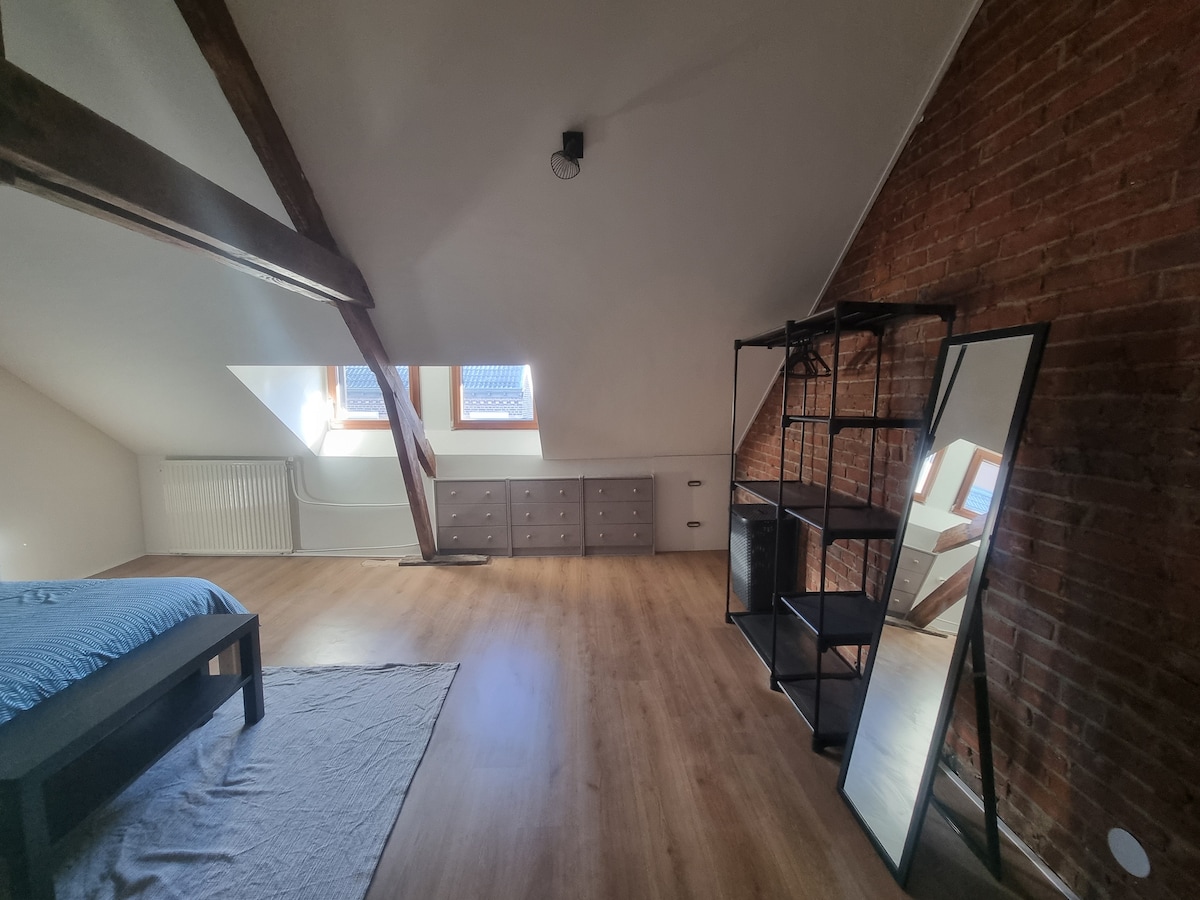 An airy bedroom with sloped ceilings showcases large windows that allow natural light to fill the space. A spacious bed is complemented by a light blue blanket. A tall mirror and a black shelving unit add functional appeal, while wooden flooring enhances the overall aesthetic.