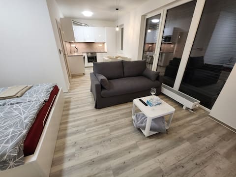 Popular Airbnb listing: Modern apartment with free garage parking & AC in Jihomoravský