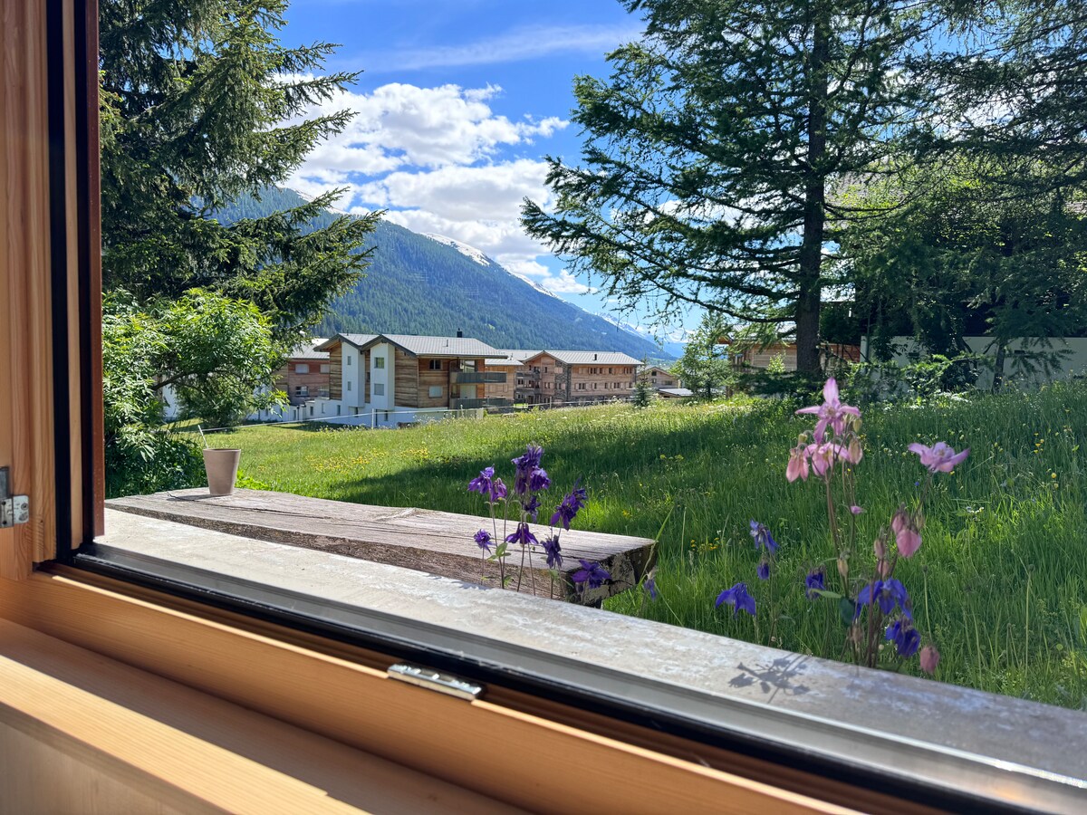 A view from a window reveals a grassy area adorned with wildflowers in shades of purple and pink. In the distance, several buildings are visible, framed by tall trees and mountains under a clear blue sky.