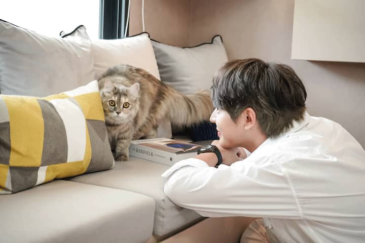 โฮมสเตย์กับแมว สระว่ายน้ำ ไวไฟแรง ใกล้สนามบิน - Bang Bo