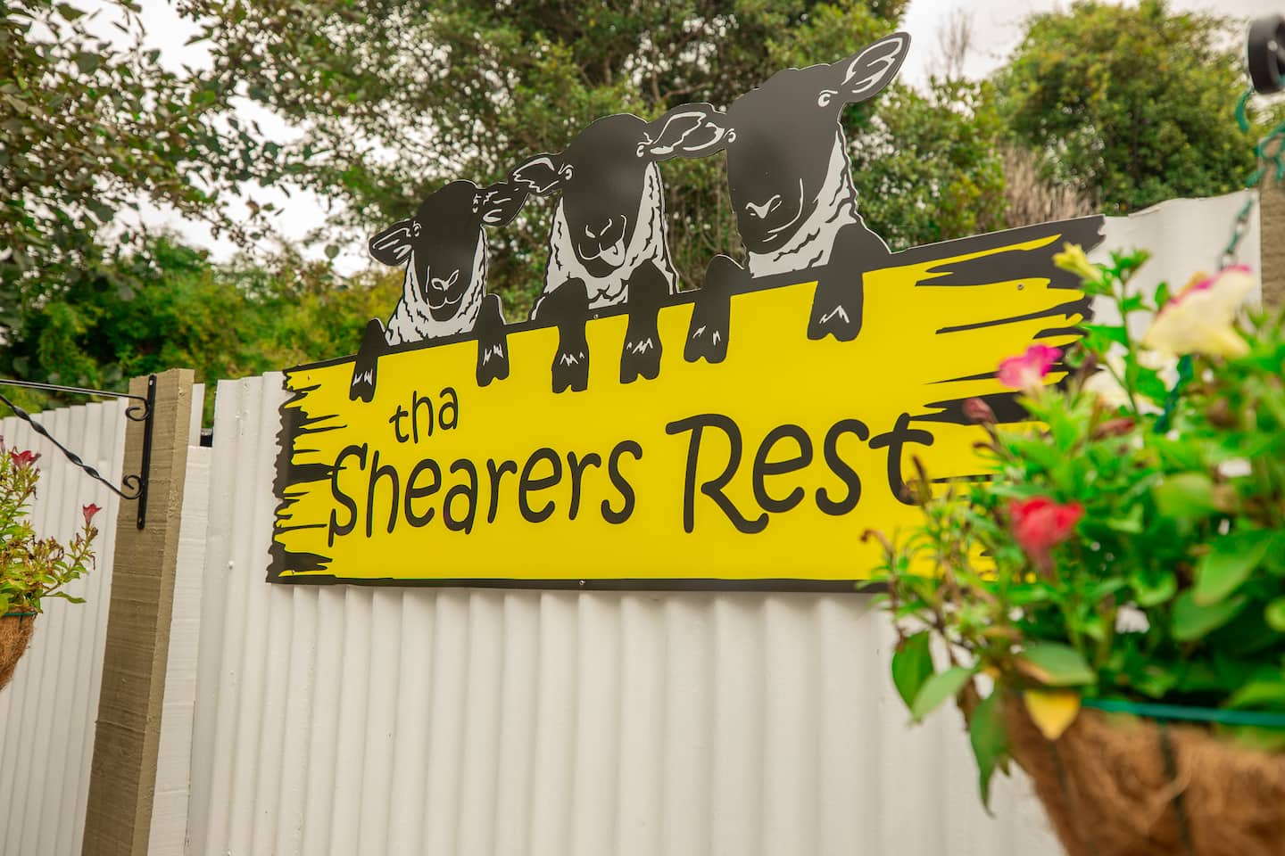 'Tha Shearers Rest' Fox Glacier 1