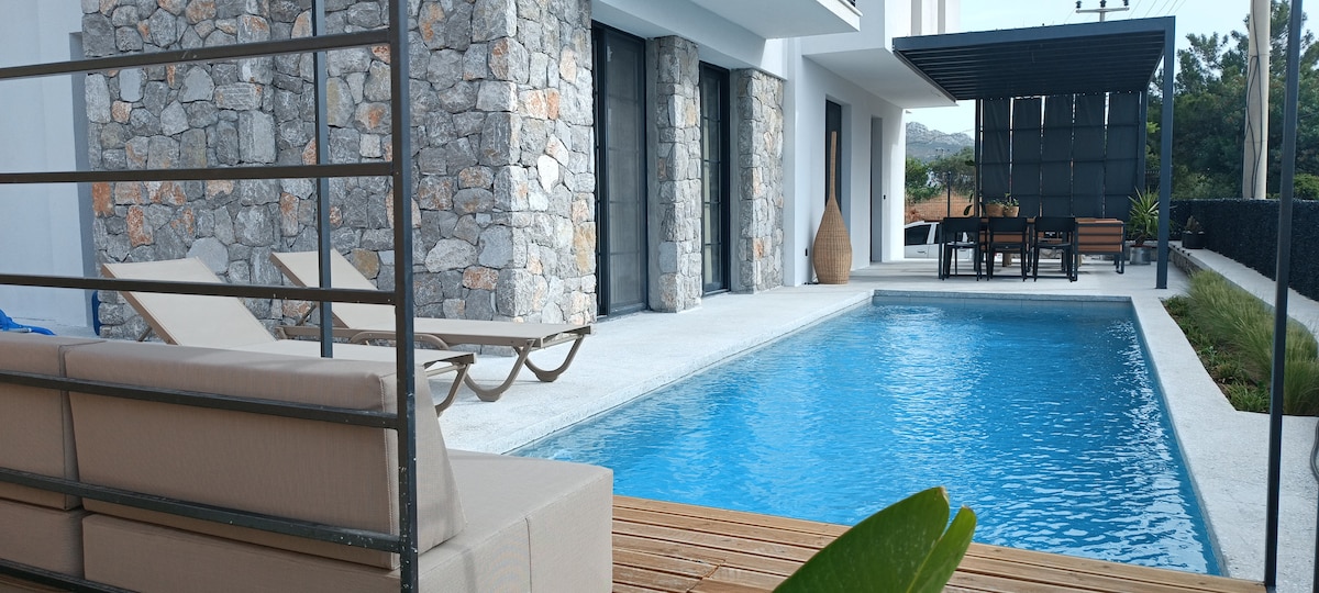 An outdoor area features a swimming pool surrounded by a wooden deck. Two lounge chairs are positioned beside the pool. A dining set is placed under a shaded area, providing a comfortable spot for outdoor meals. The modern stone wall adds texture to the setting.