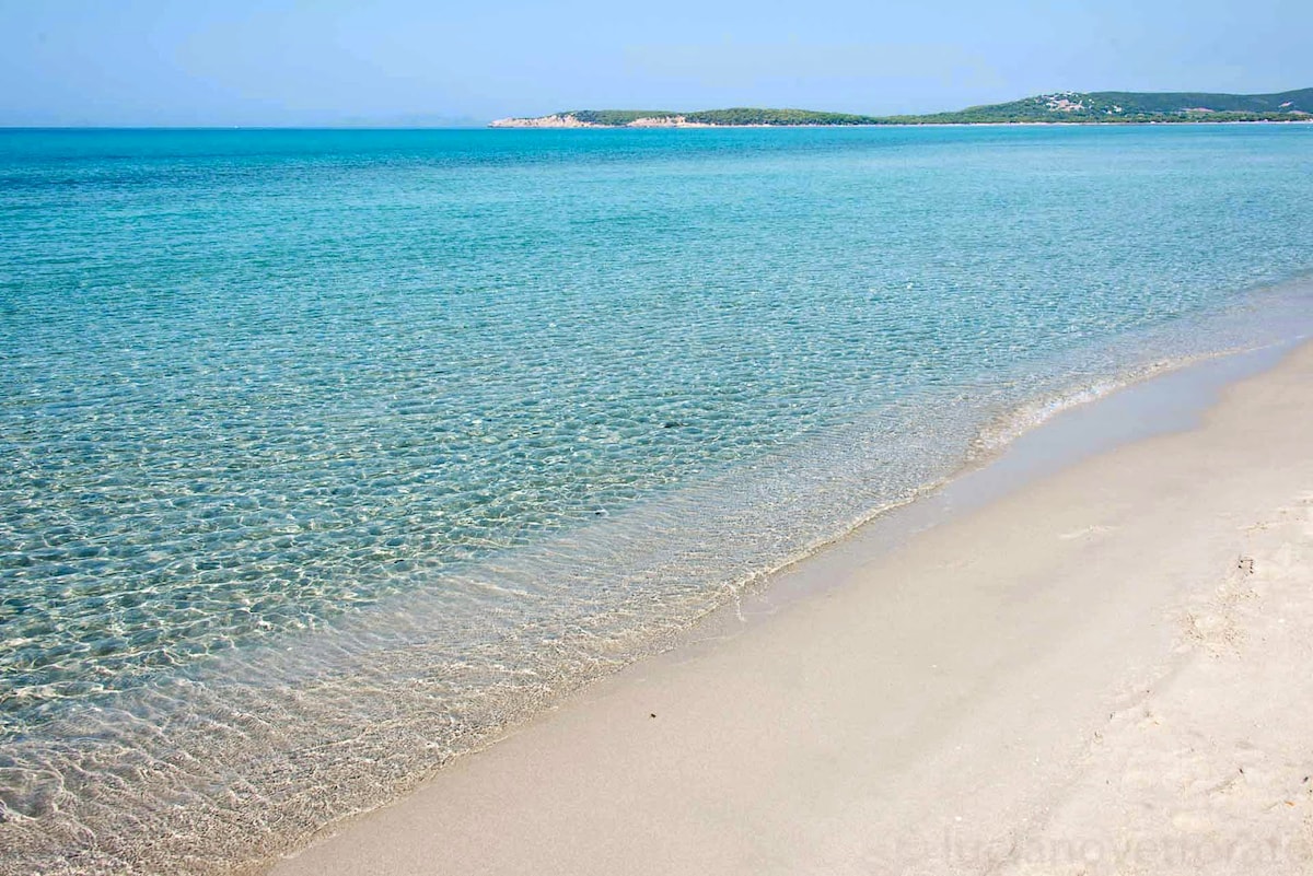 A serene beach scene showcases clear turquoise waters gently lapping against a smooth, sandy shore. The horizon reveals distant green hills, blending with the vibrant sea, providing a tranquil backdrop for visitors.