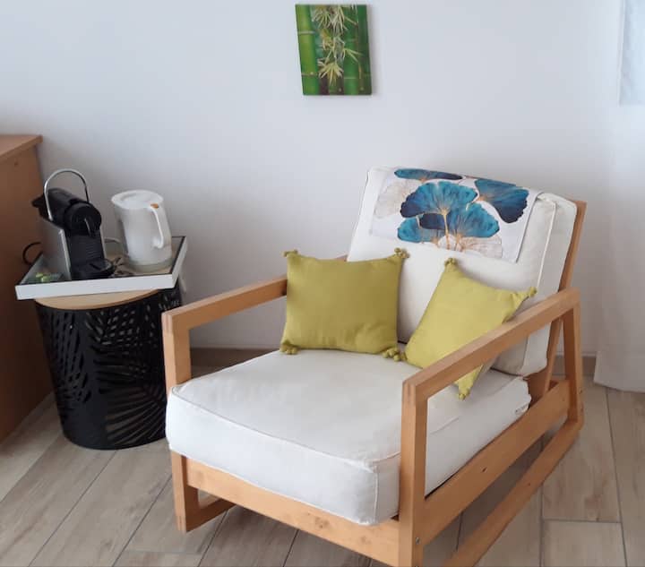 Chambre 23m2 Entrée Et Salle De Bain Indépendantes - Aix-les-Bains