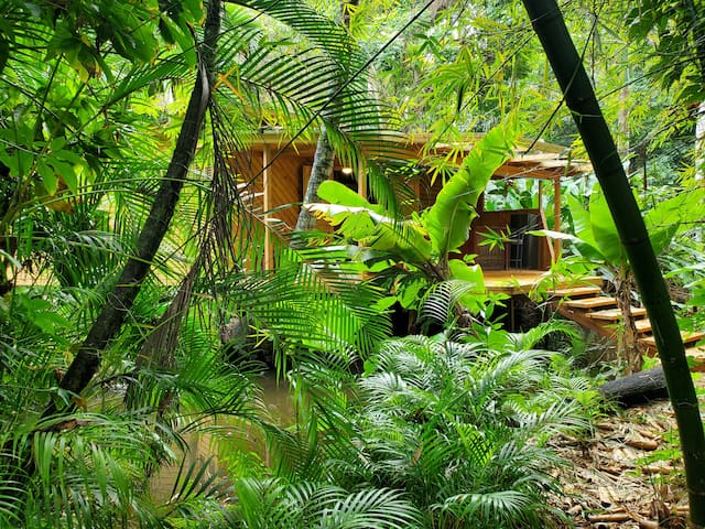 Guest favorite listing in Cabarete