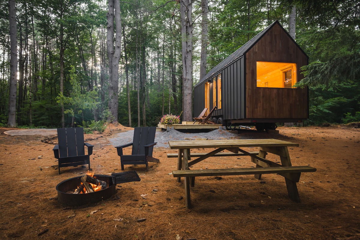 A tiny cabin is nestled among tall trees, illuminated through large windows. A picnic table is positioned in front of the cabin, surrounded by Adirondack chairs, and a fire pit sits nearby with a small fire, providing a cozy outdoor gathering space.