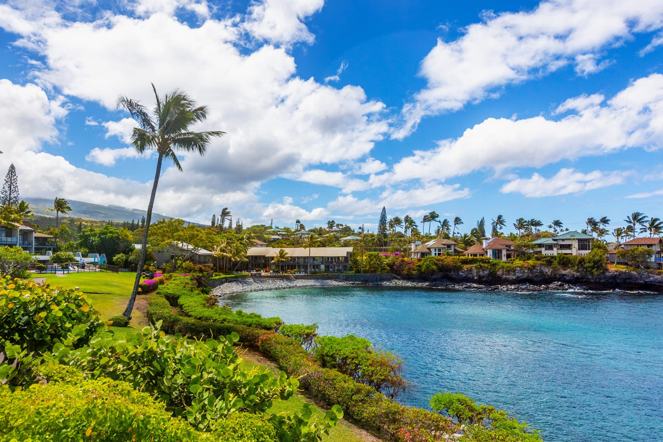 Townhouse in Lahaina · ★4.94 · 1 bedroom · 2 beds · 1 bath - Image 1