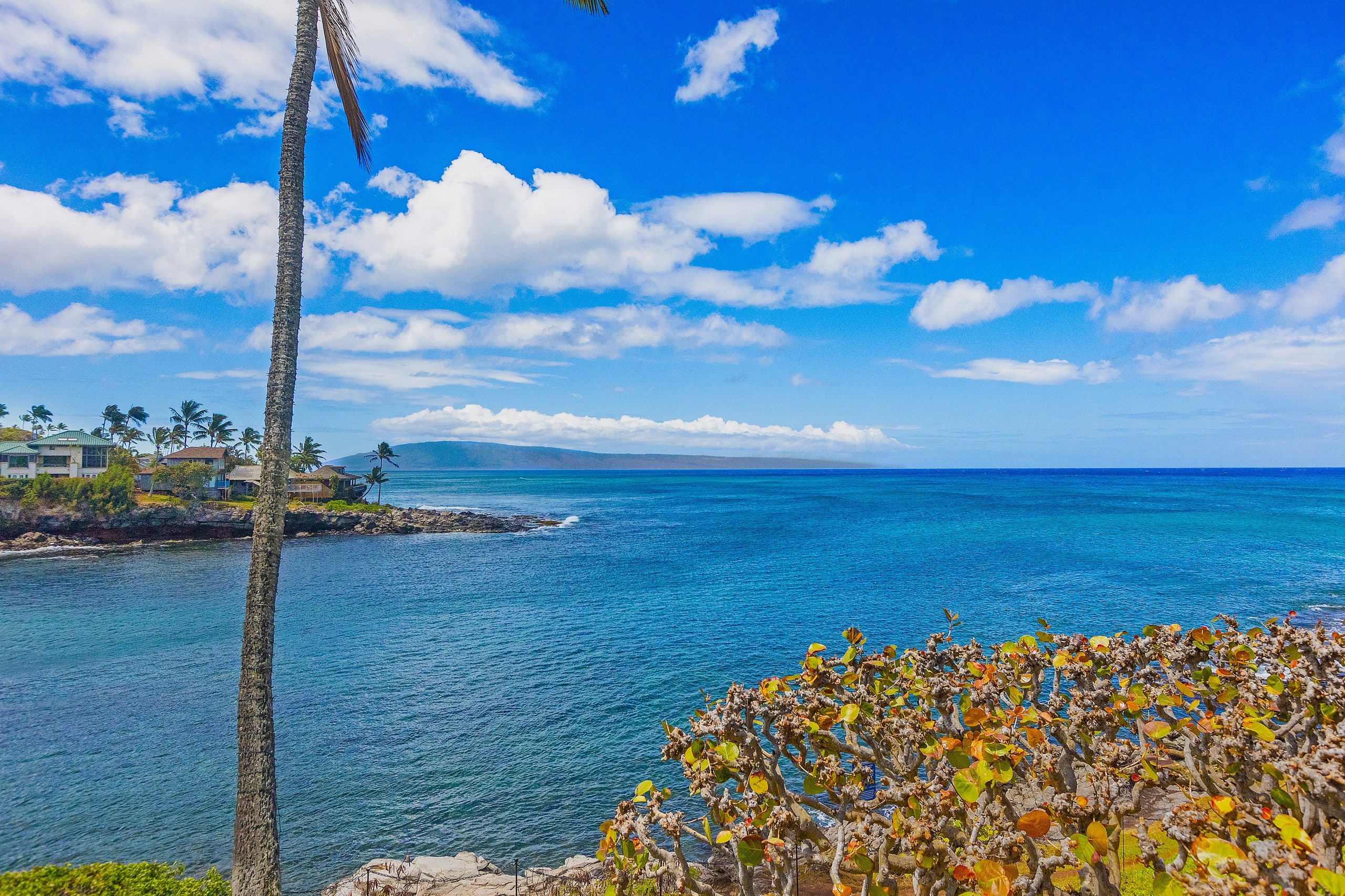 Townhouse in Lahaina · ★4.94 · 1 bedroom · 2 beds · 1 bath - Image 37