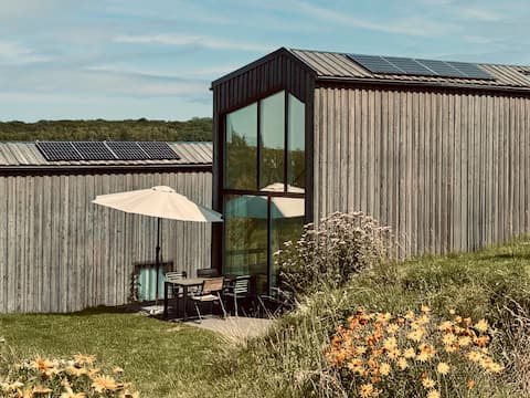 Scandi Micro House