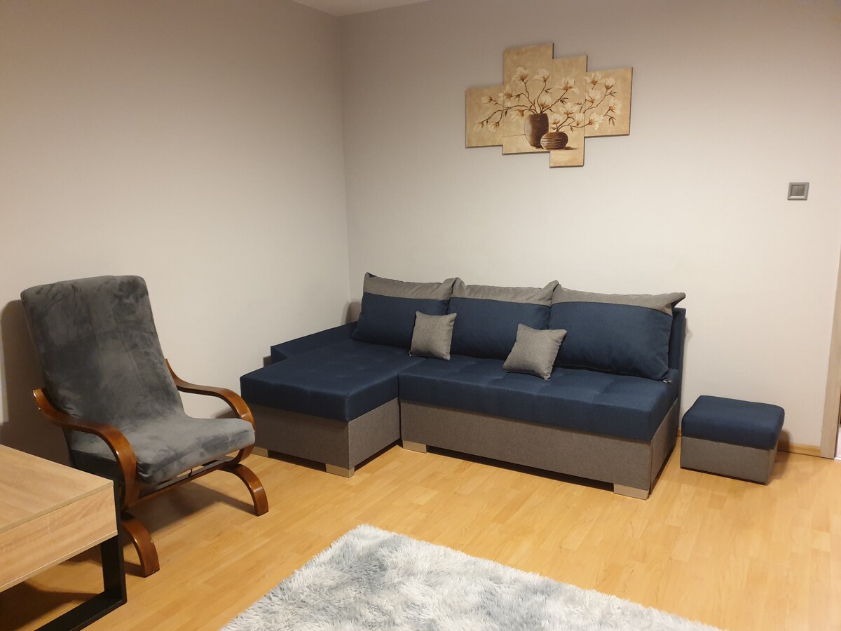 A spacious living area features a modern sectional sofa in shades of blue, complemented by decorative cushions. A cozy armchair with a wooden frame is positioned nearby. A soft rug adds comfort underfoot, while a simple artwork adorns the wall.