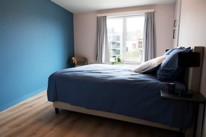 - להירגע בחדר השינה השקט הזה עם קיר מבטא כחול מרגיע ואור טבעי רך
- מיטה זוגית נוחה לבושה במצעים נעימים, מושלמת לשינה נינוחה בלילה
- מקום מפלט שליו המשלב עיצוב מודרני עם אווירה שלווה