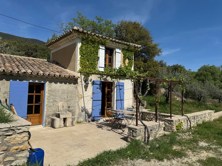 Appartement / Cabanon Rustique - Nyons