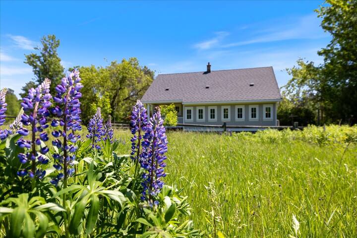 Green Gate Guest Houses managed Airbnb listing 3