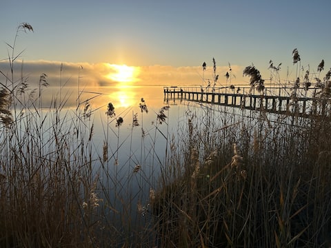The Jetty House - Water Front Stay Riverland