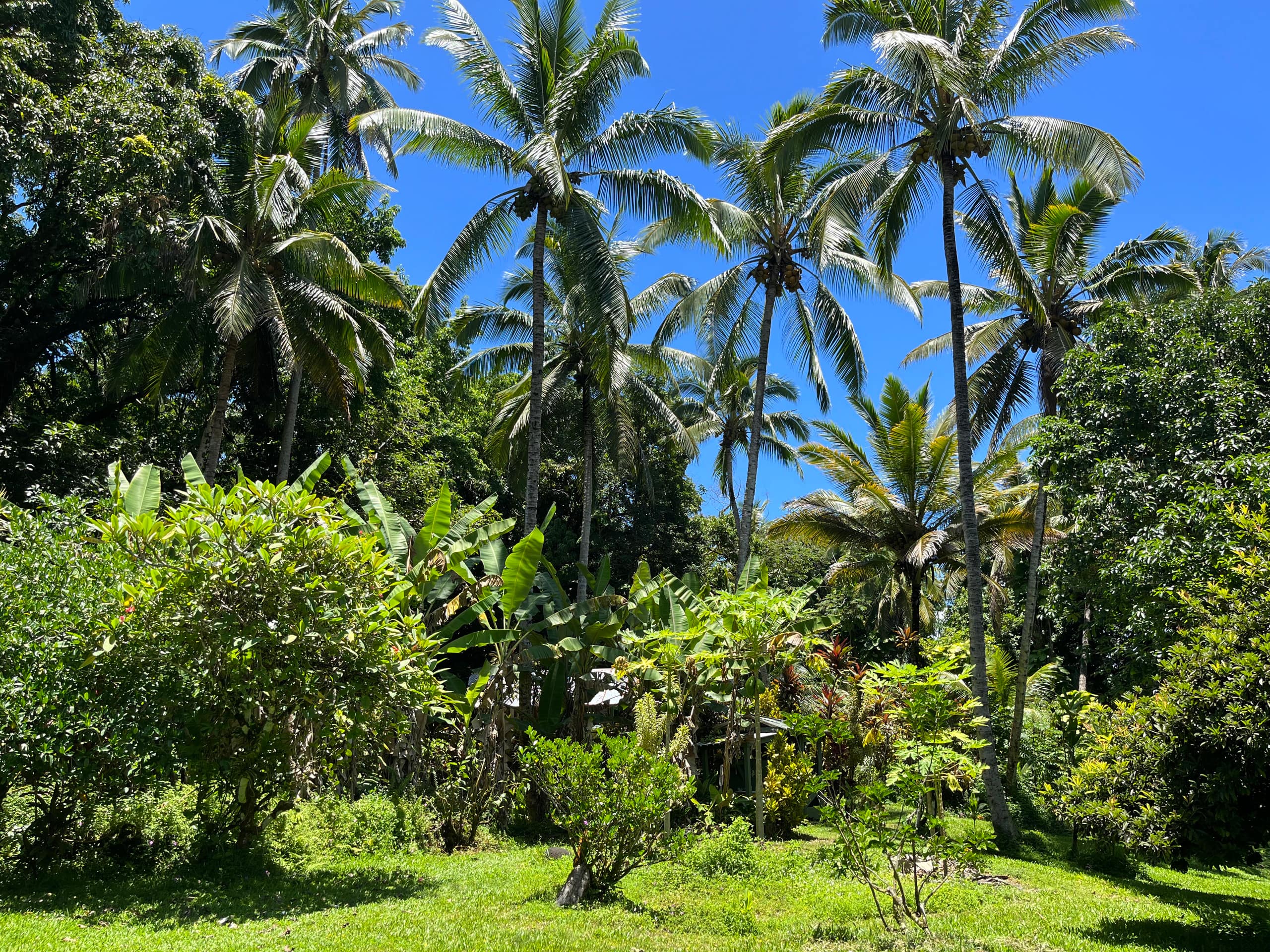 Low Summer Rates! Halemanu Eco-Retreat - Photo 54
