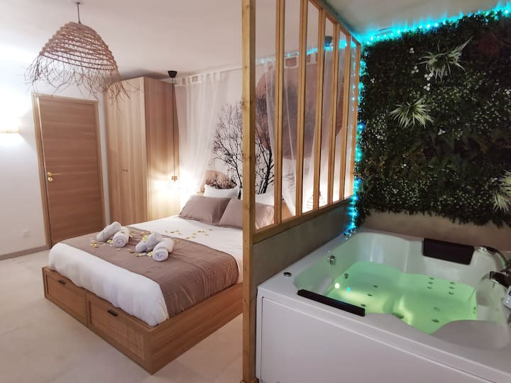 La Suite Balinaise - Balnéo - Netflix - Wifi - Auxerre