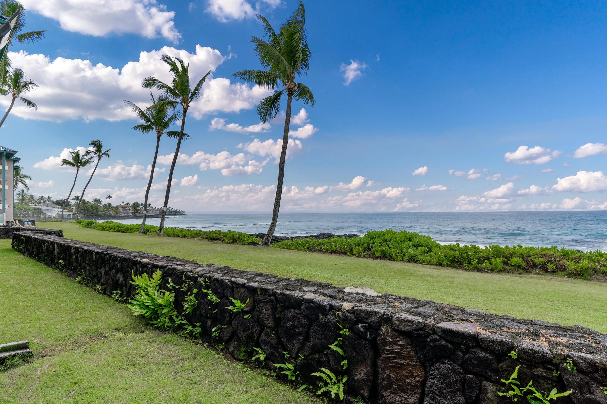 Condo in Kailua-Kona · ★4.71 · 1 bedroom · 2 beds · 1 bath - Image 19