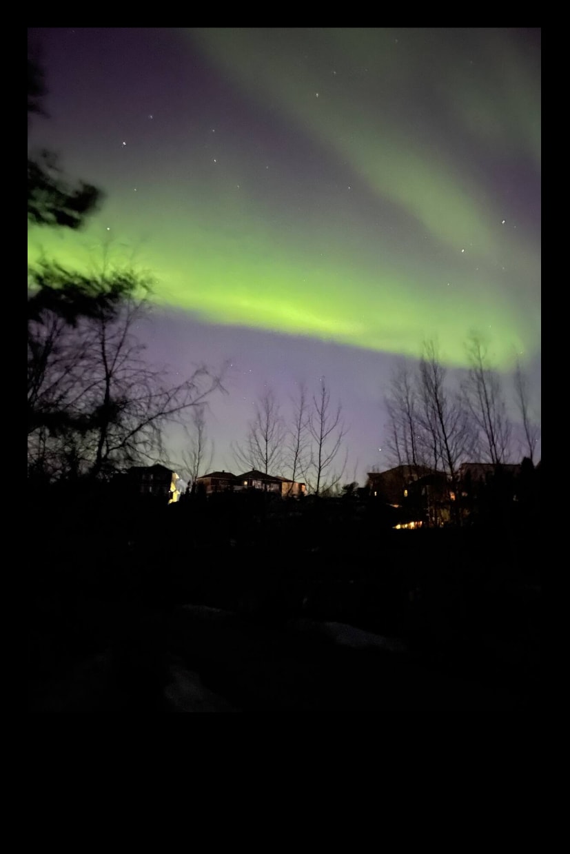 The night sky is illuminated by ethereal green auroras, contrasting against a dark backdrop. Silhouetted trees line the foreground, while outlines of distant buildings can be seen, enhancing the tranquil ambiance. Stars are faintly visible above, creating a serene natural setting.