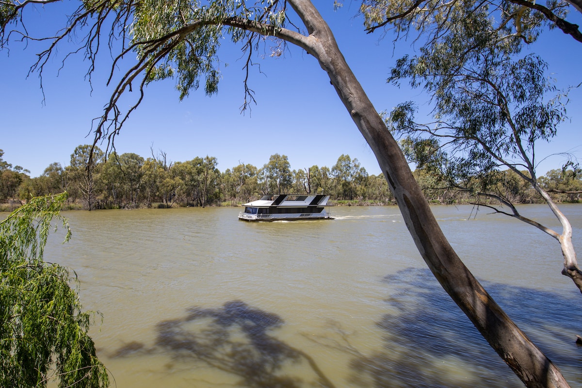 A boat is gently cruising on the calm waters of the Murray River, framed by the surrounding green trees. The serene landscape captures the natural beauty of the area, contributing to a tranquil atmosphere.