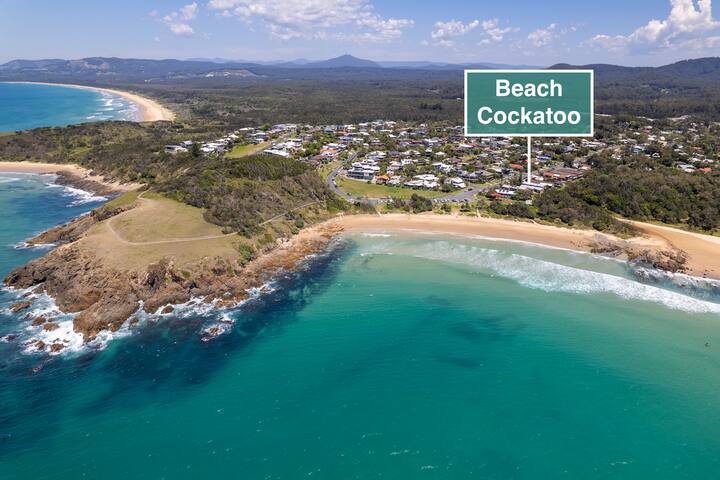 Beach Cockatoo Ocean Views & Steps To The Sand - Moonee Beach