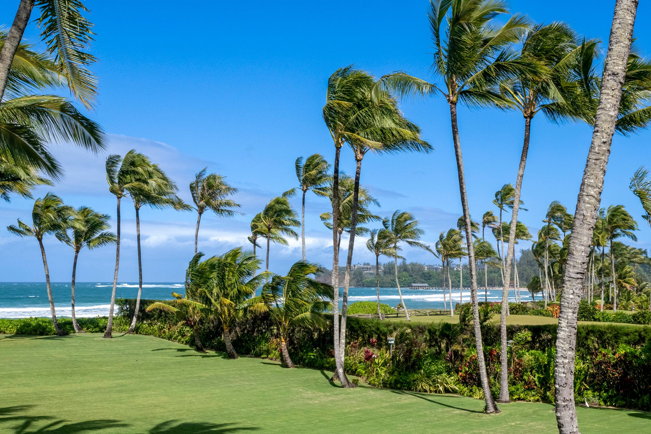 Home in Hanalei · ★5.0 · 7 bedrooms · 7 beds · 6.5 baths - Image 66