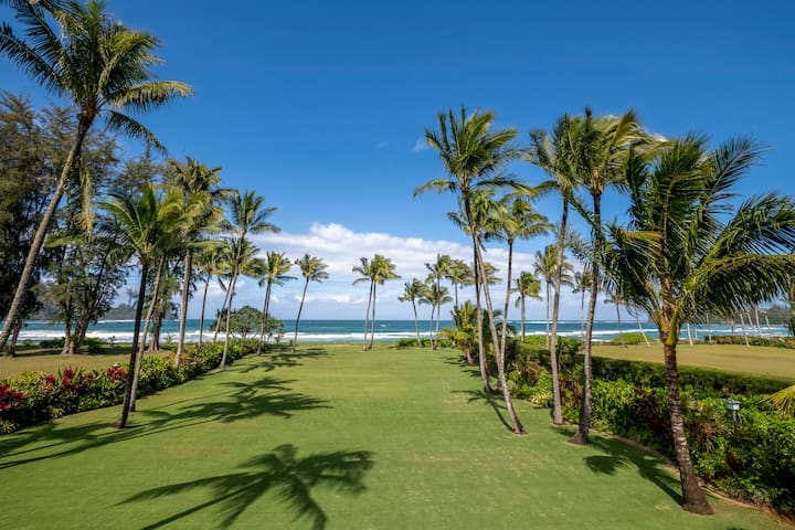 Oceanfront Dolphin House Hanalei