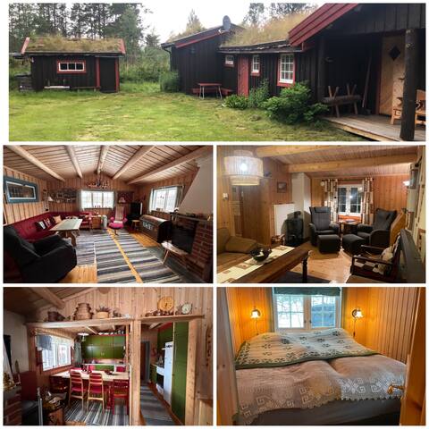 Røros - Large family cabin in beautiful Hånesåsen.