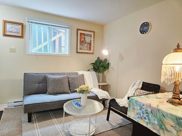 Cozy & Clean Apt Near Downtown - 세인트 존스