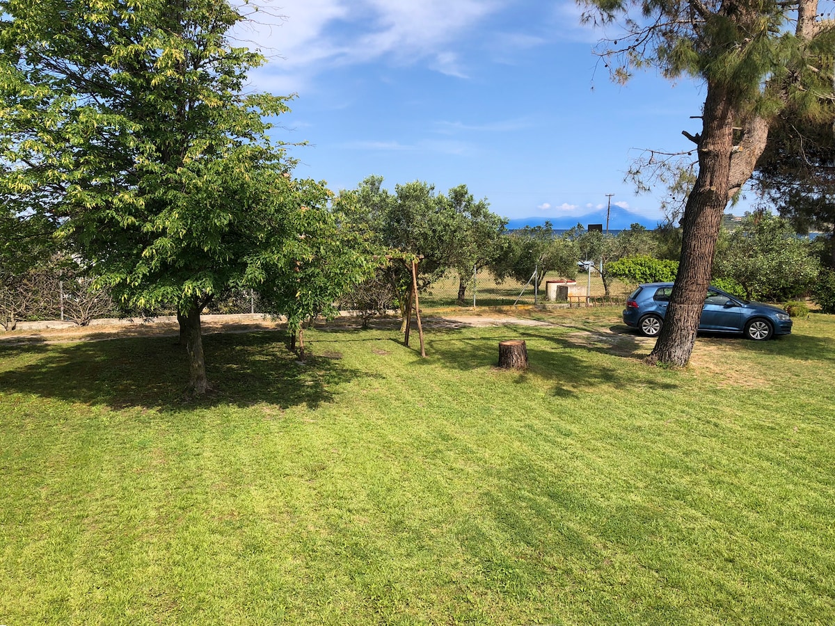 A spacious green garden is presented, featuring neatly trimmed grass and several trees, including olive and pine. A shaded area for parking is visible, along with a glimpse of the sea in the distance, creating a serene outdoor setting.